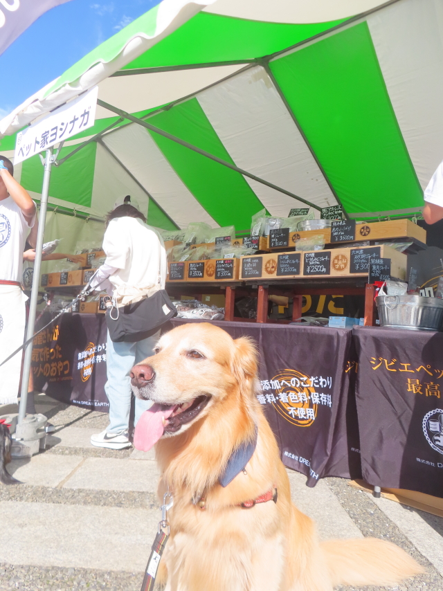 ファイル 8844-3.jpg