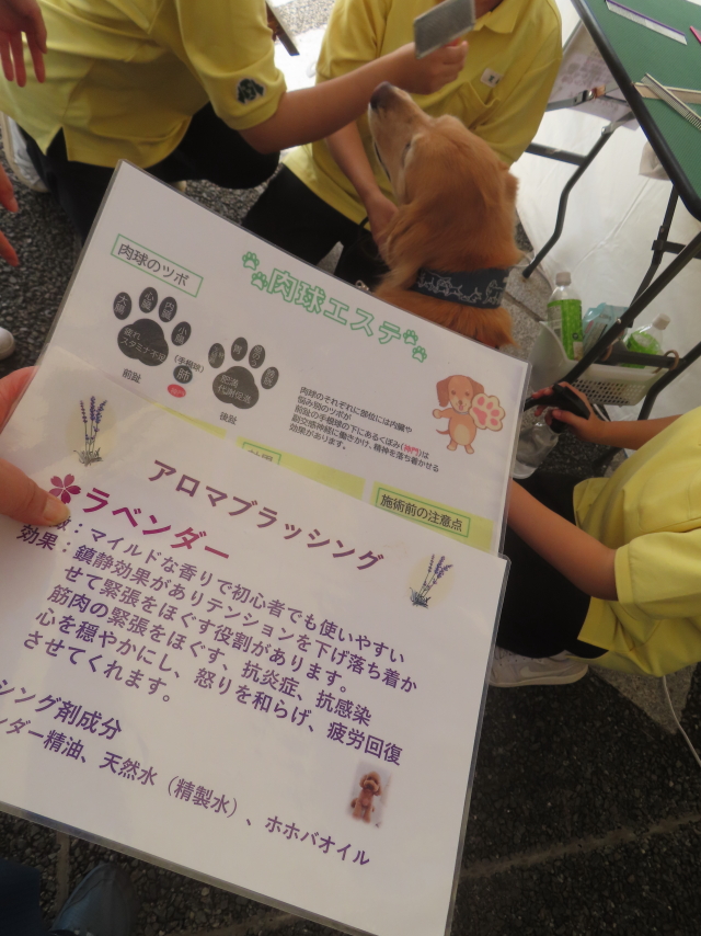 ファイル 8844-4.jpg