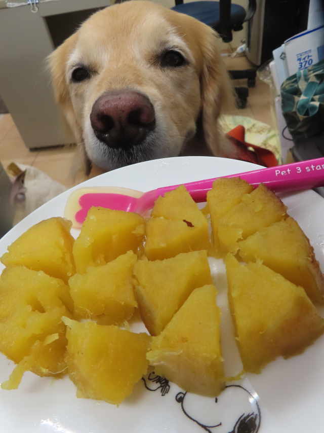 ファイル 8844-5.jpg