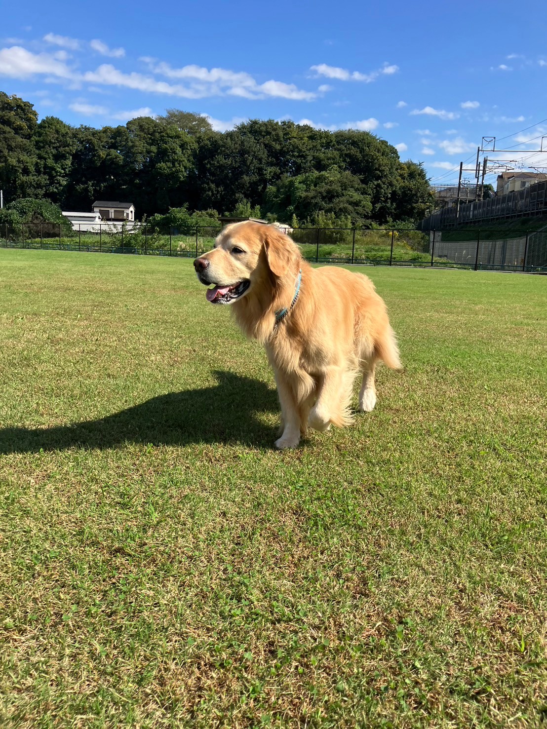 ファイル 8845-1.jpeg