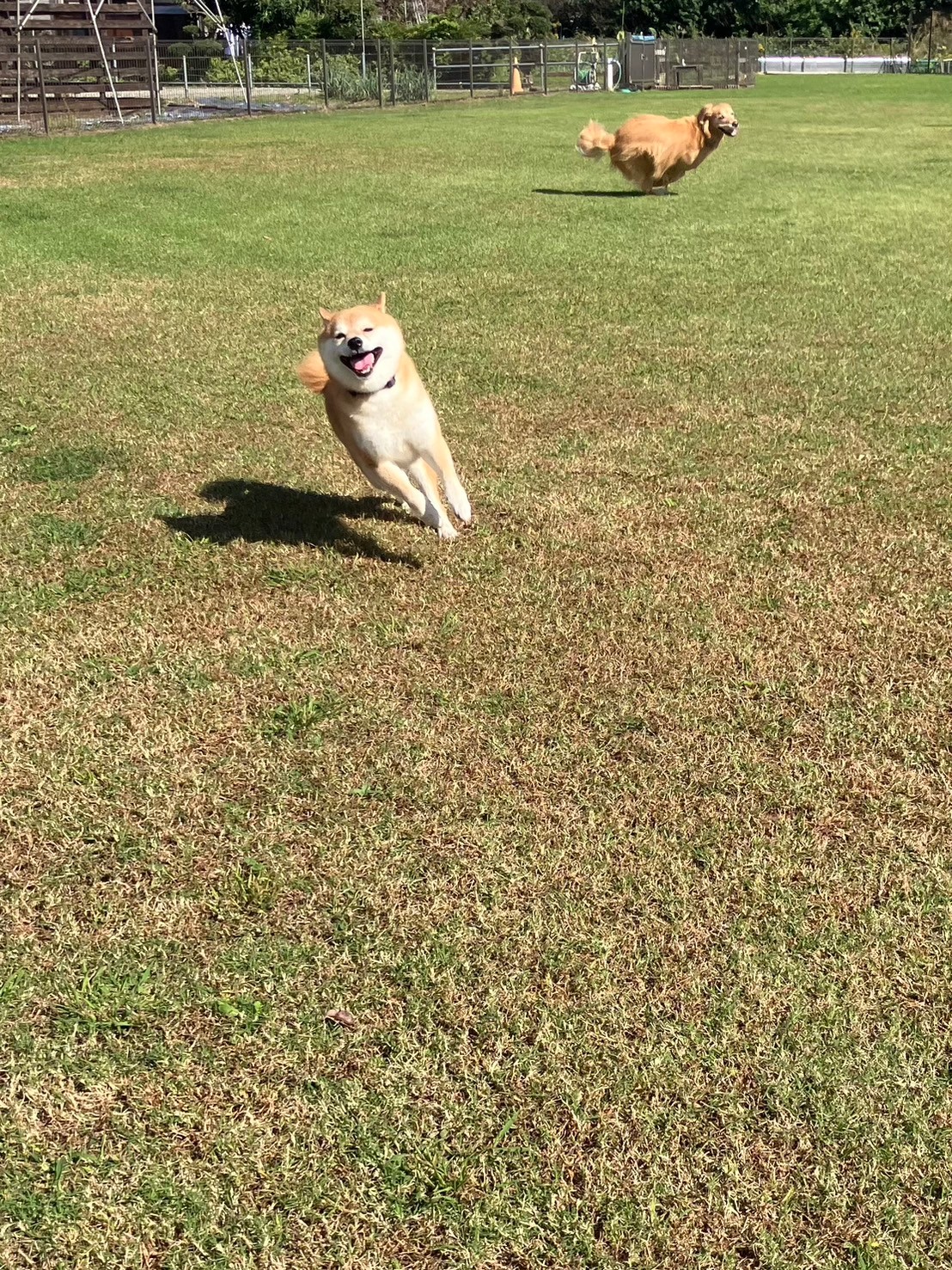 ファイル 8845-2.jpeg