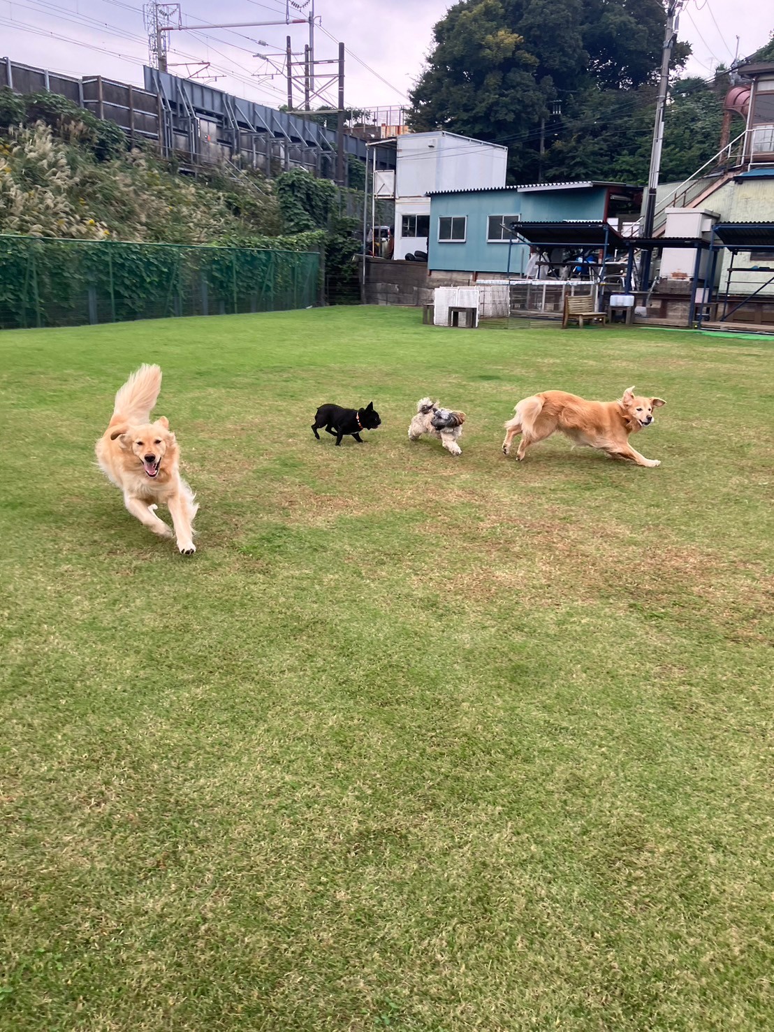 ファイル 8845-3.jpeg