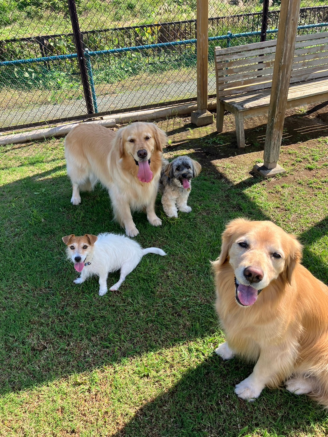 ファイル 8845-4.jpeg