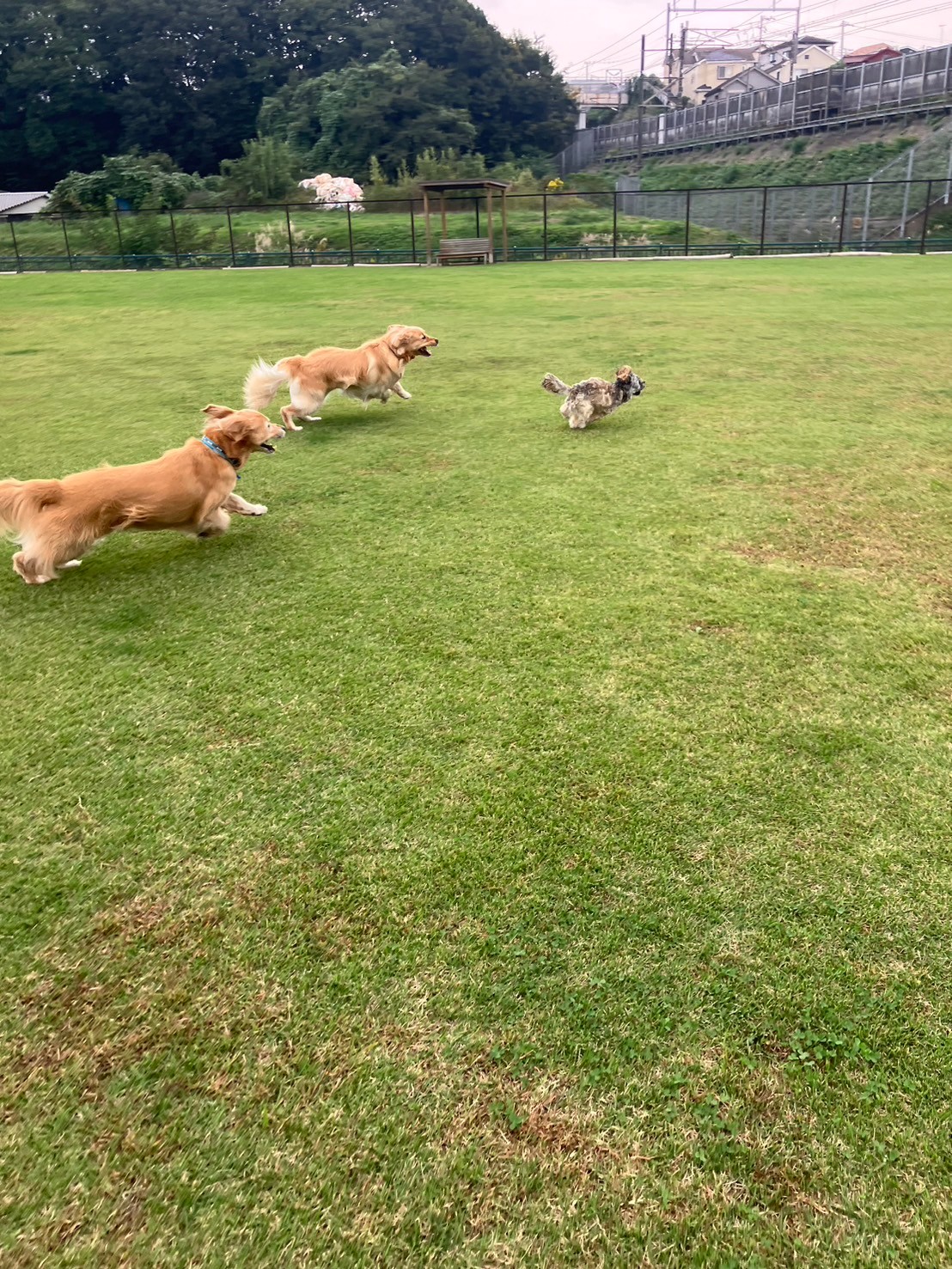 ファイル 8845-5.jpeg