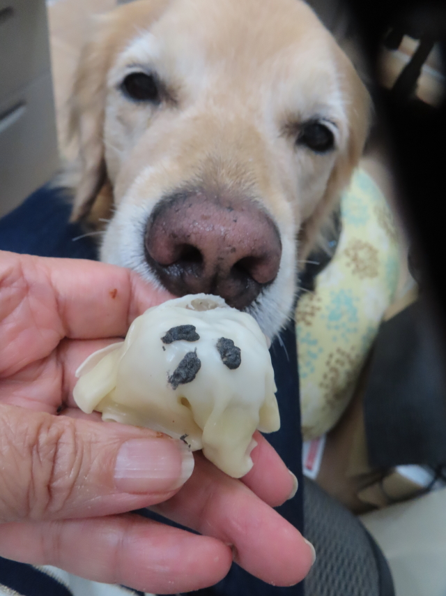 ファイル 8847-5.jpg