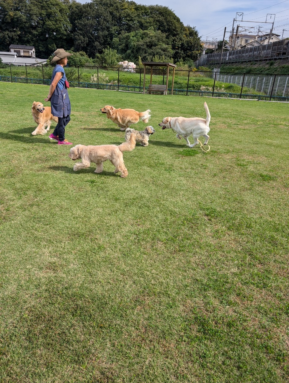 ファイル 8848-3.jpeg