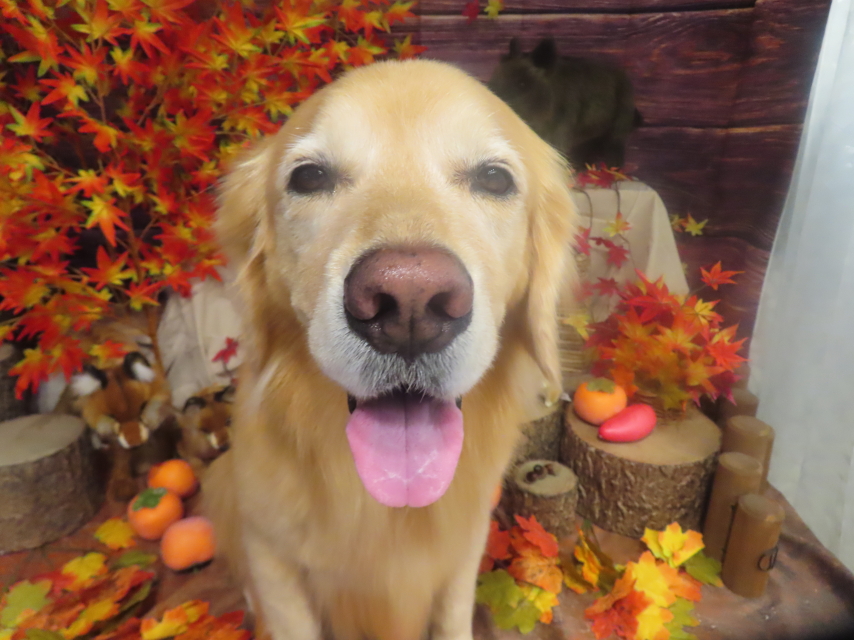 ファイル 8849-2.jpg