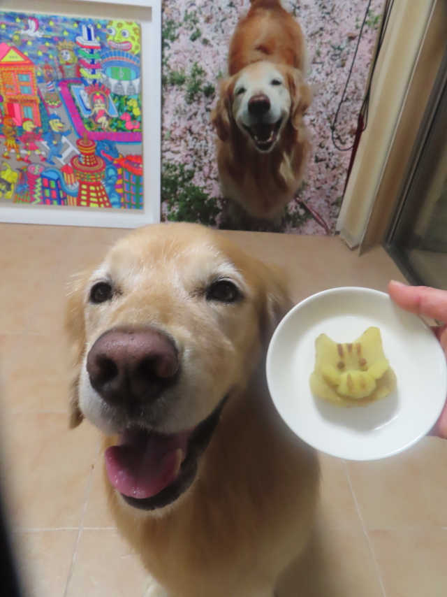 ファイル 8849-3.jpg