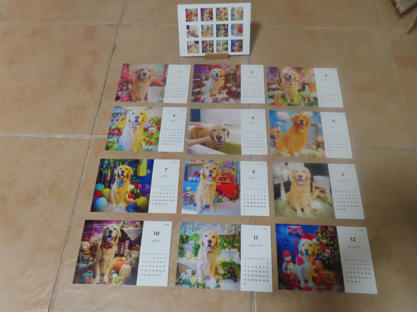 ファイル 8849-4.jpg