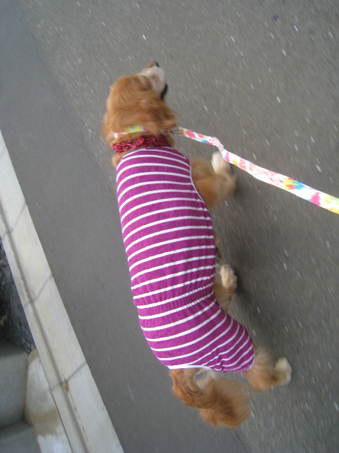 ファイル 885-1.jpg