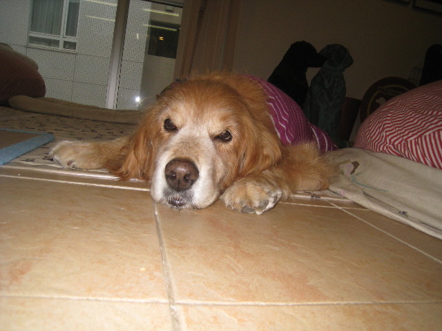 ファイル 885-3.jpg