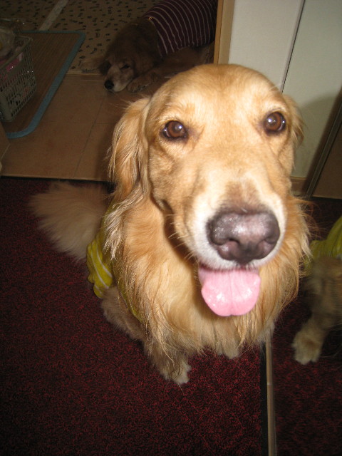 ファイル 885-4.jpg