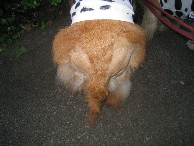 ファイル 885-5.jpg