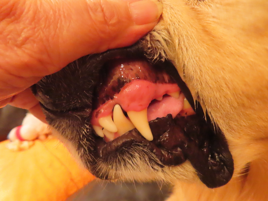 ファイル 8850-1.jpg