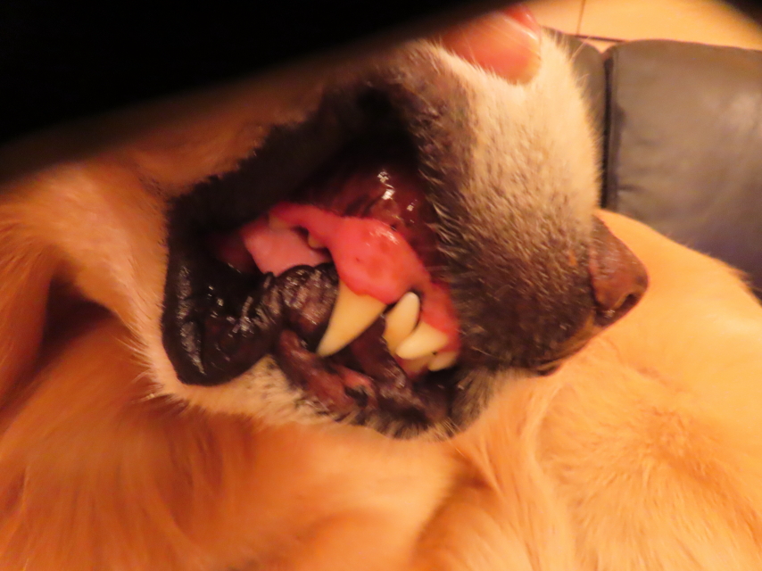 ファイル 8850-2.jpg