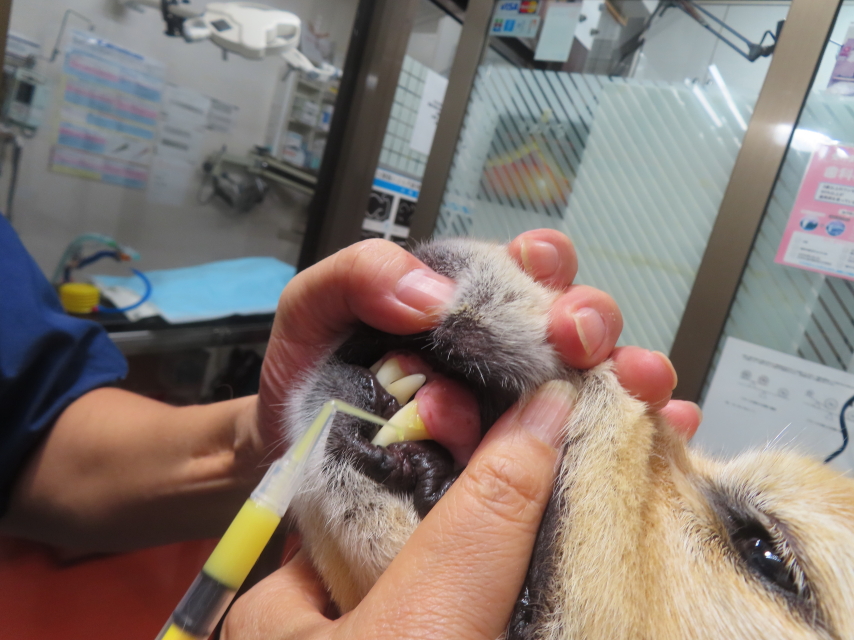 ファイル 8850-3.jpg