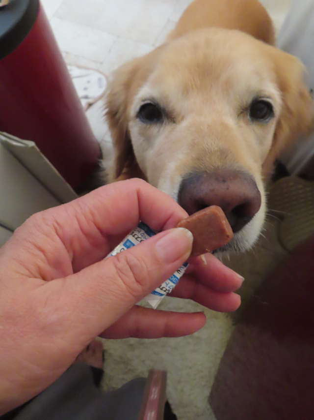 ファイル 8850-5.jpg