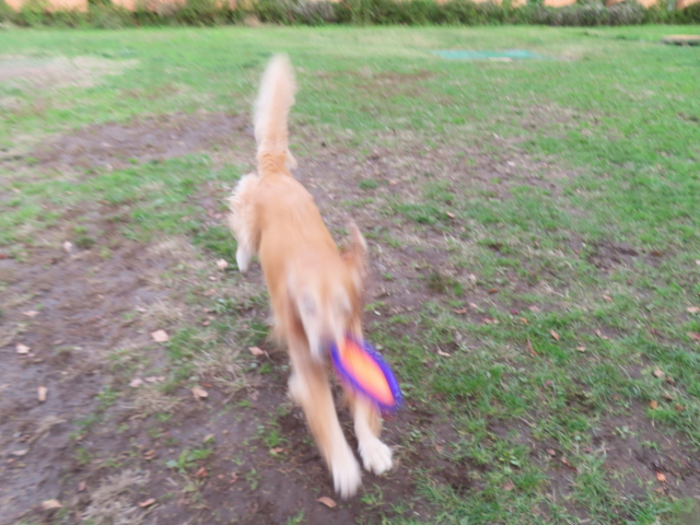 ファイル 8851-2.jpg