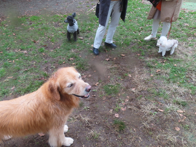 ファイル 8851-5.jpg