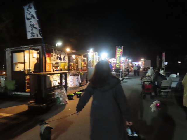 ファイル 8852-3.jpg