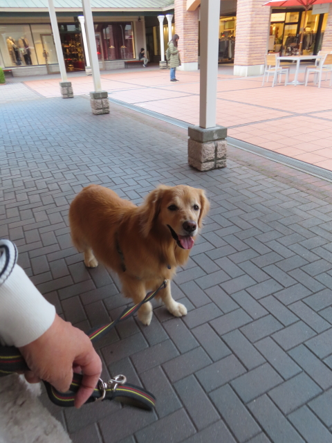 ファイル 8852-5.jpg