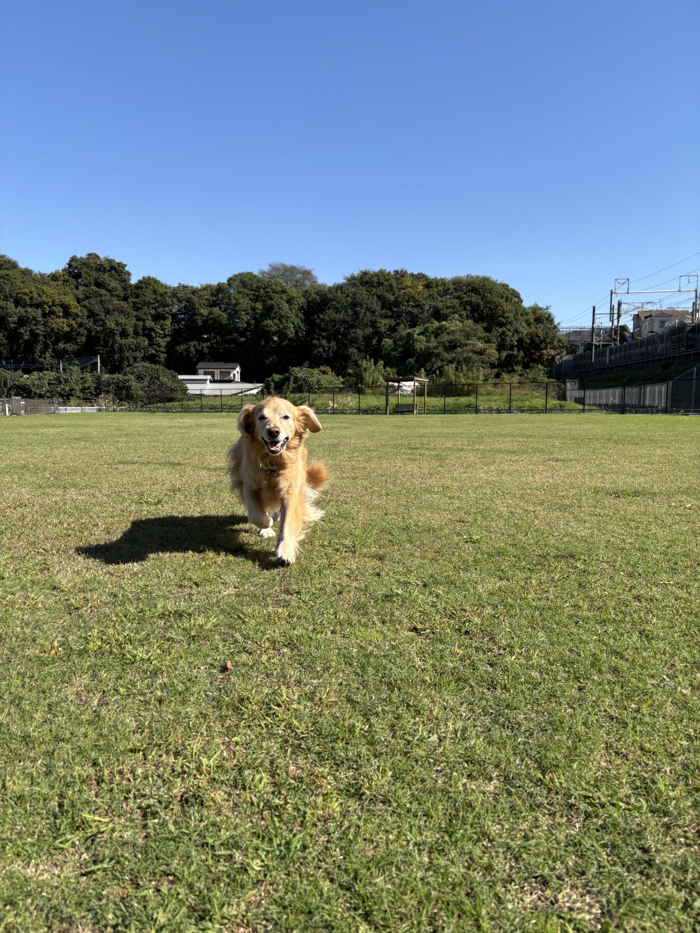 ファイル 8853-1.jpeg