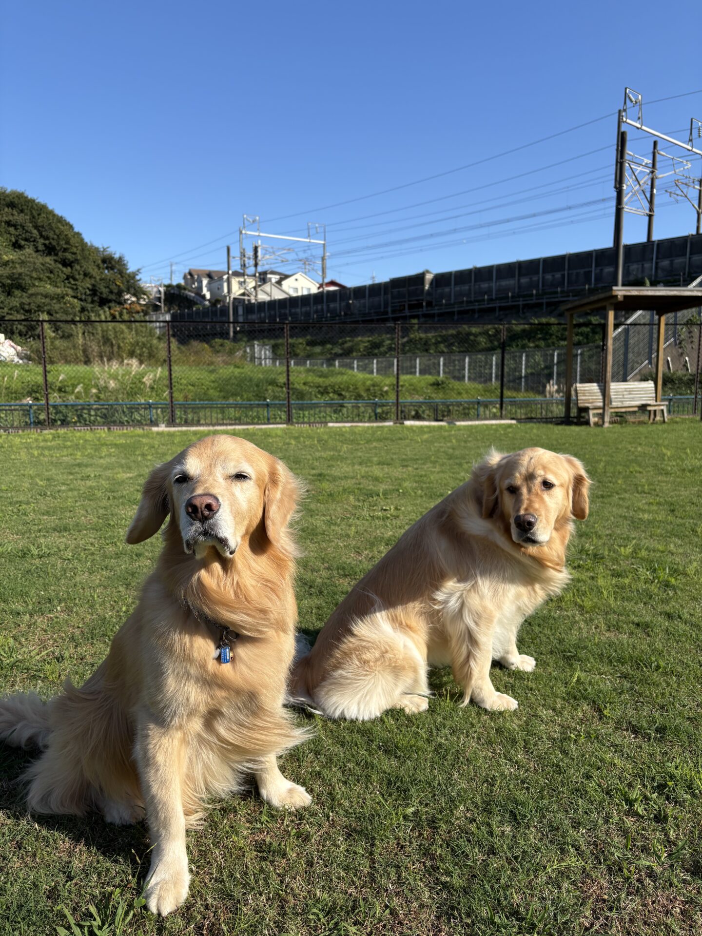 ファイル 8853-3.jpeg