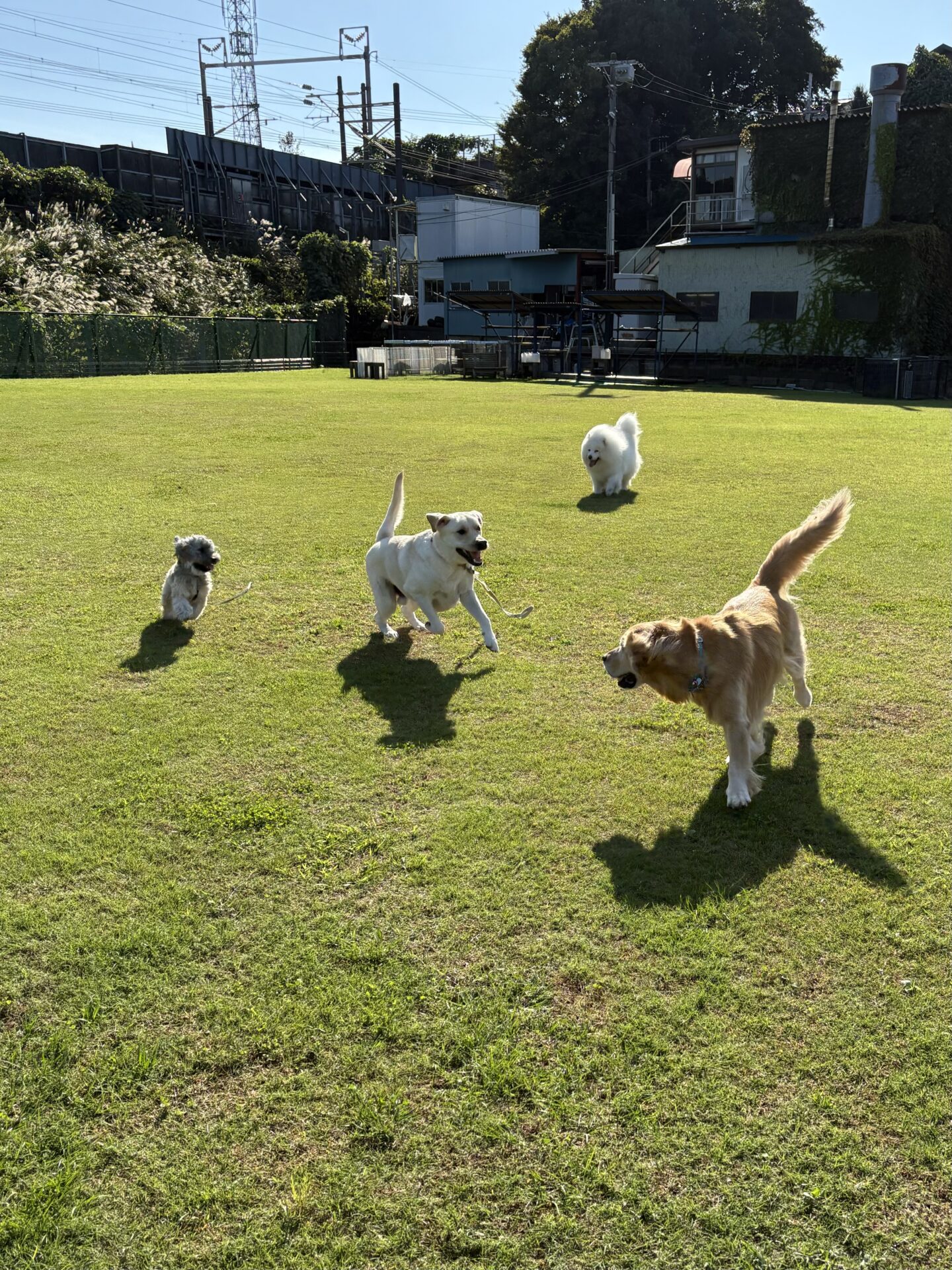 ファイル 8853-4.jpeg