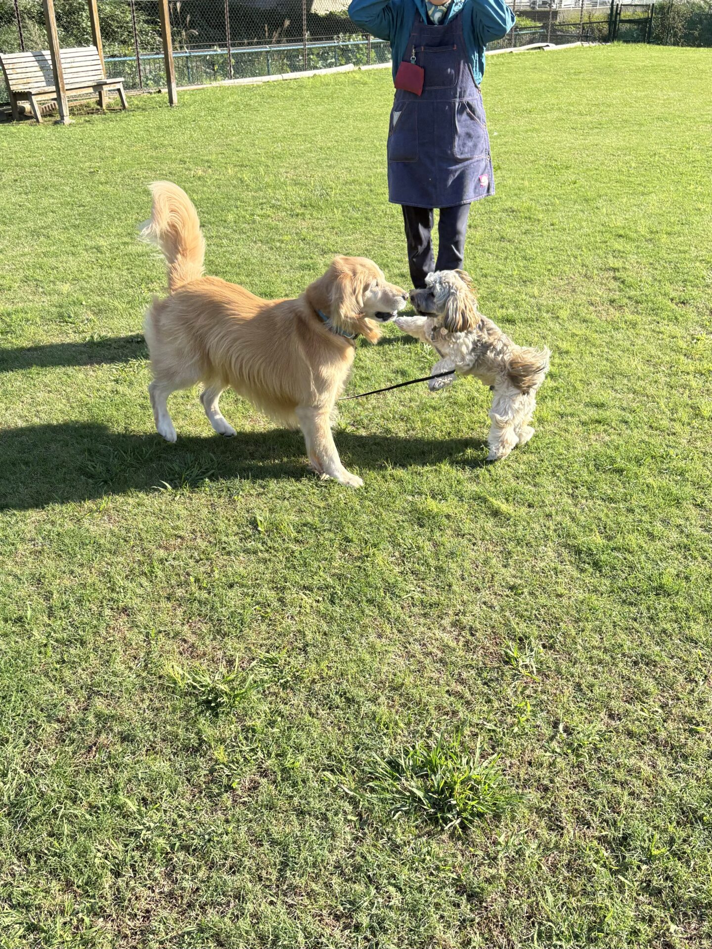 ファイル 8853-5.jpeg