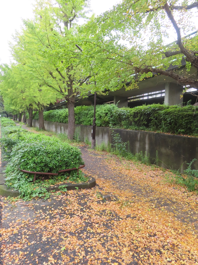 ファイル 8854-1.jpg