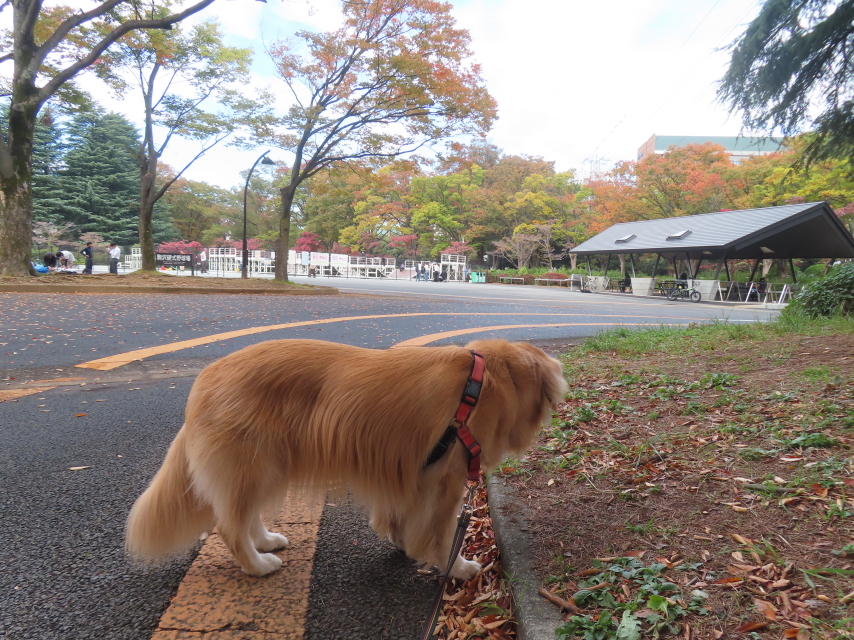 ファイル 8854-5.jpg