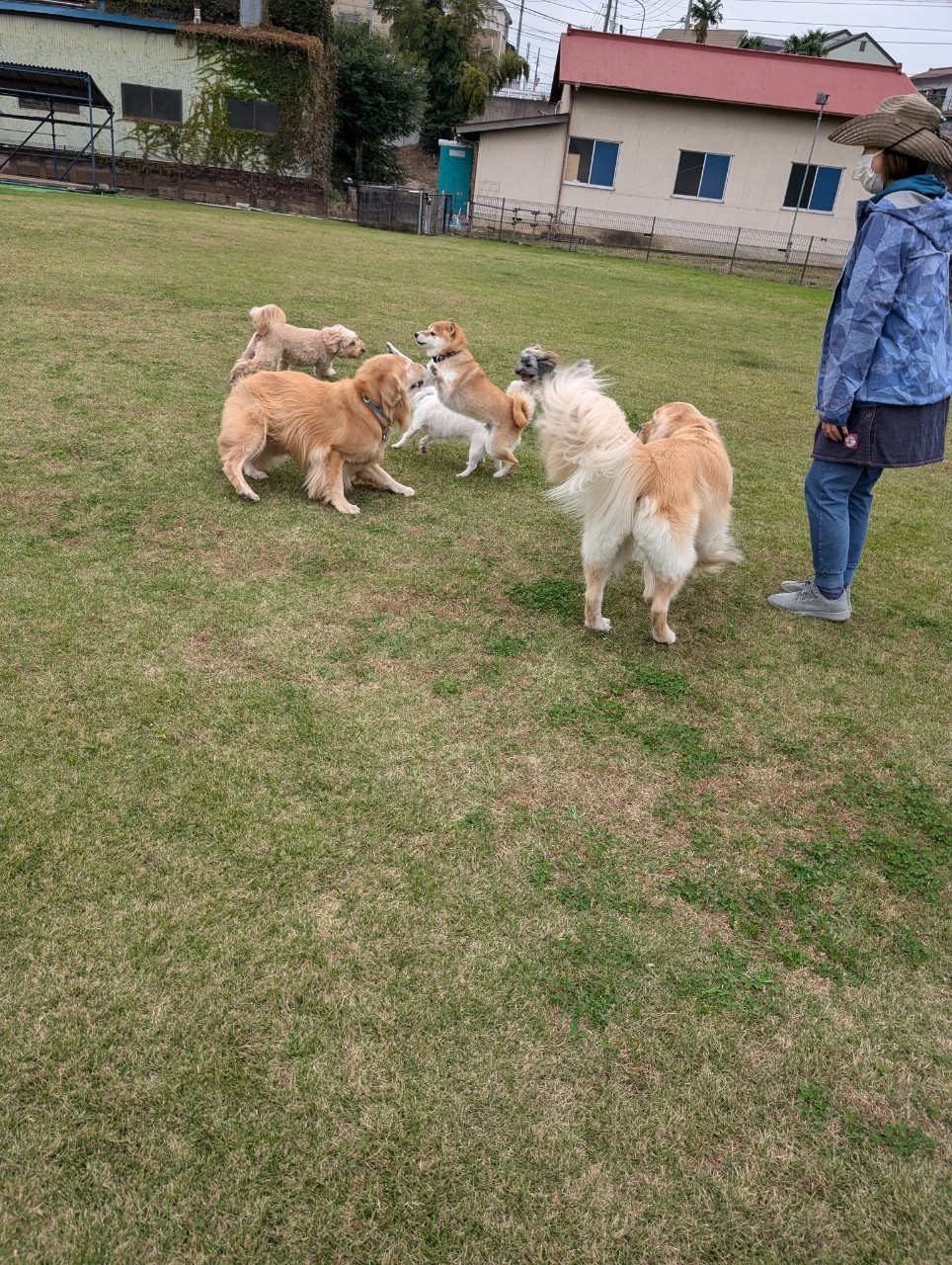 ファイル 8855-2.jpeg