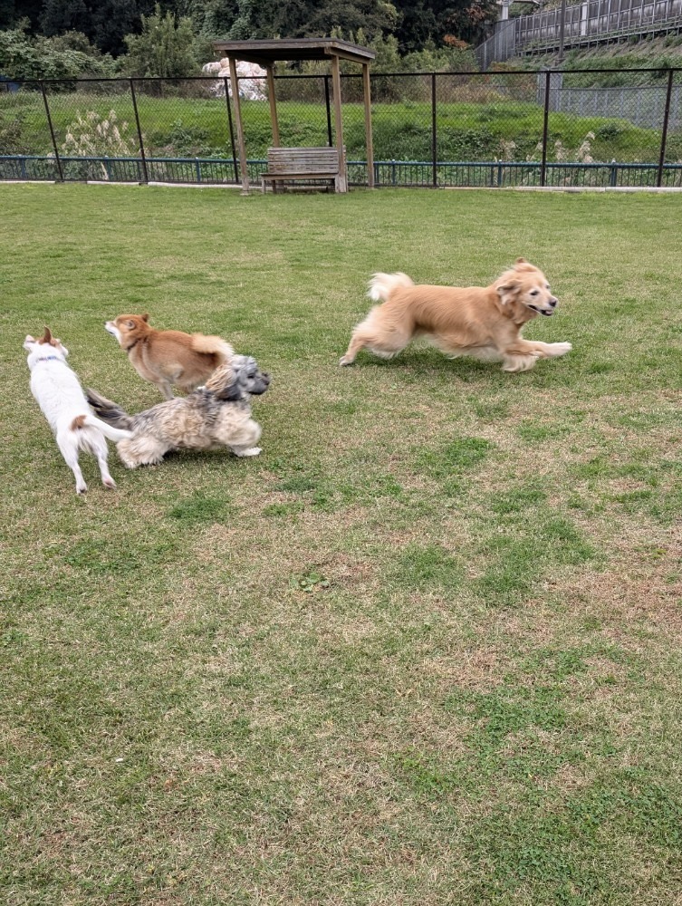 ファイル 8855-3.jpeg