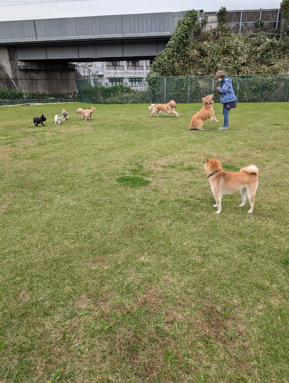 ファイル 8855-4.jpeg