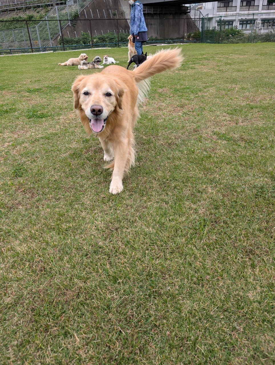 ファイル 8855-5.jpeg