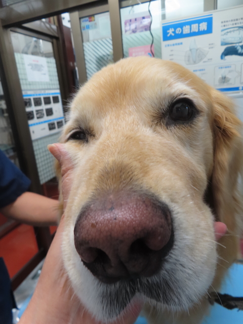 ファイル 8858-2.jpg