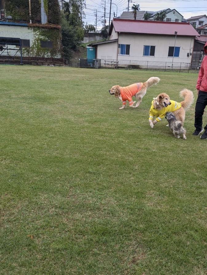 ファイル 8859-1.jpeg