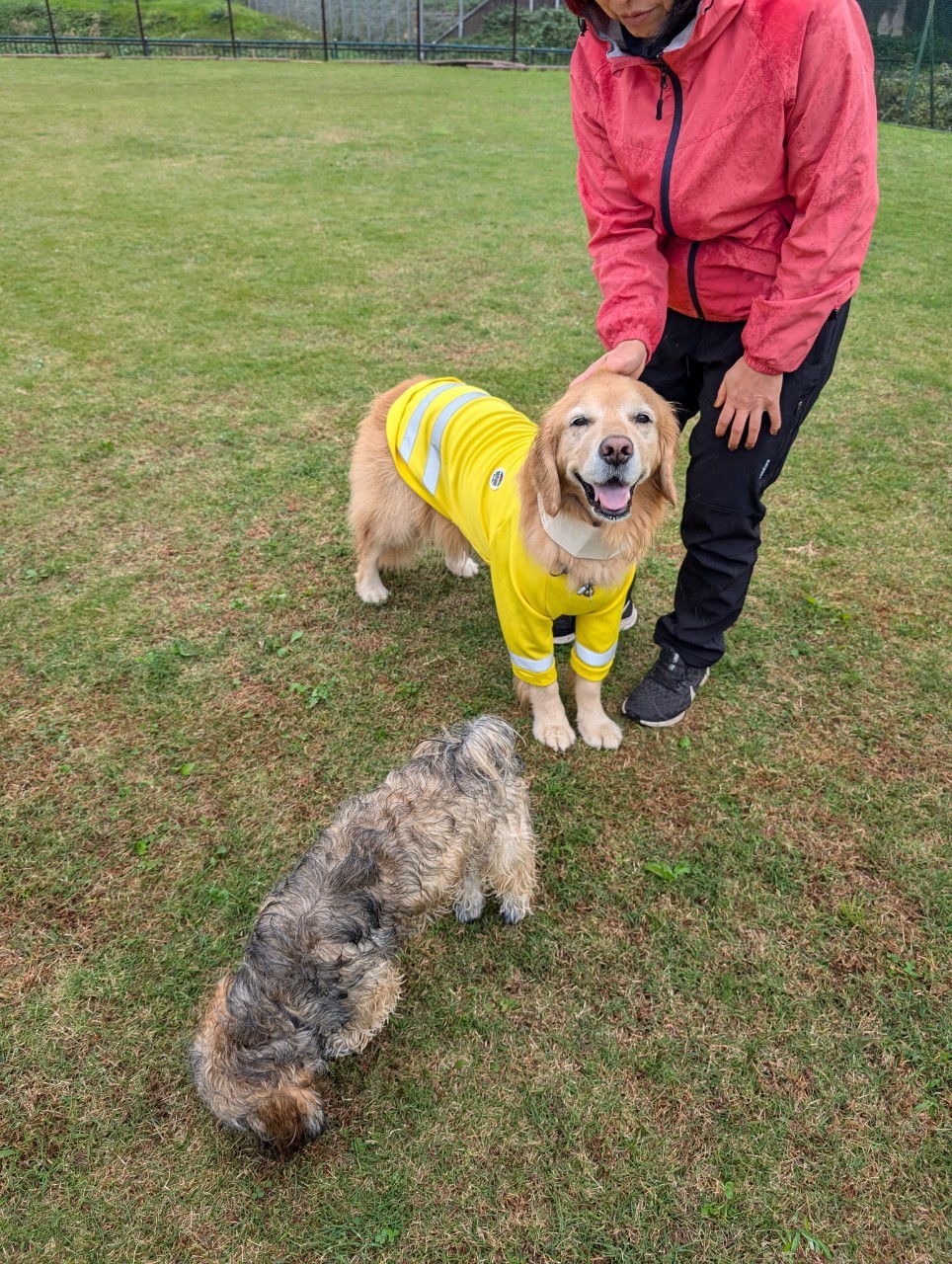 ファイル 8859-3.jpeg