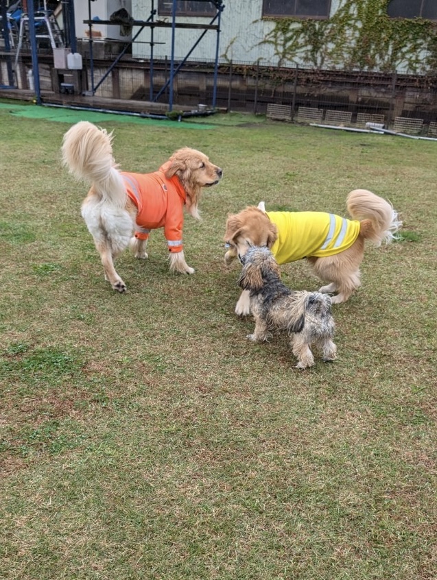 ファイル 8859-4.jpeg