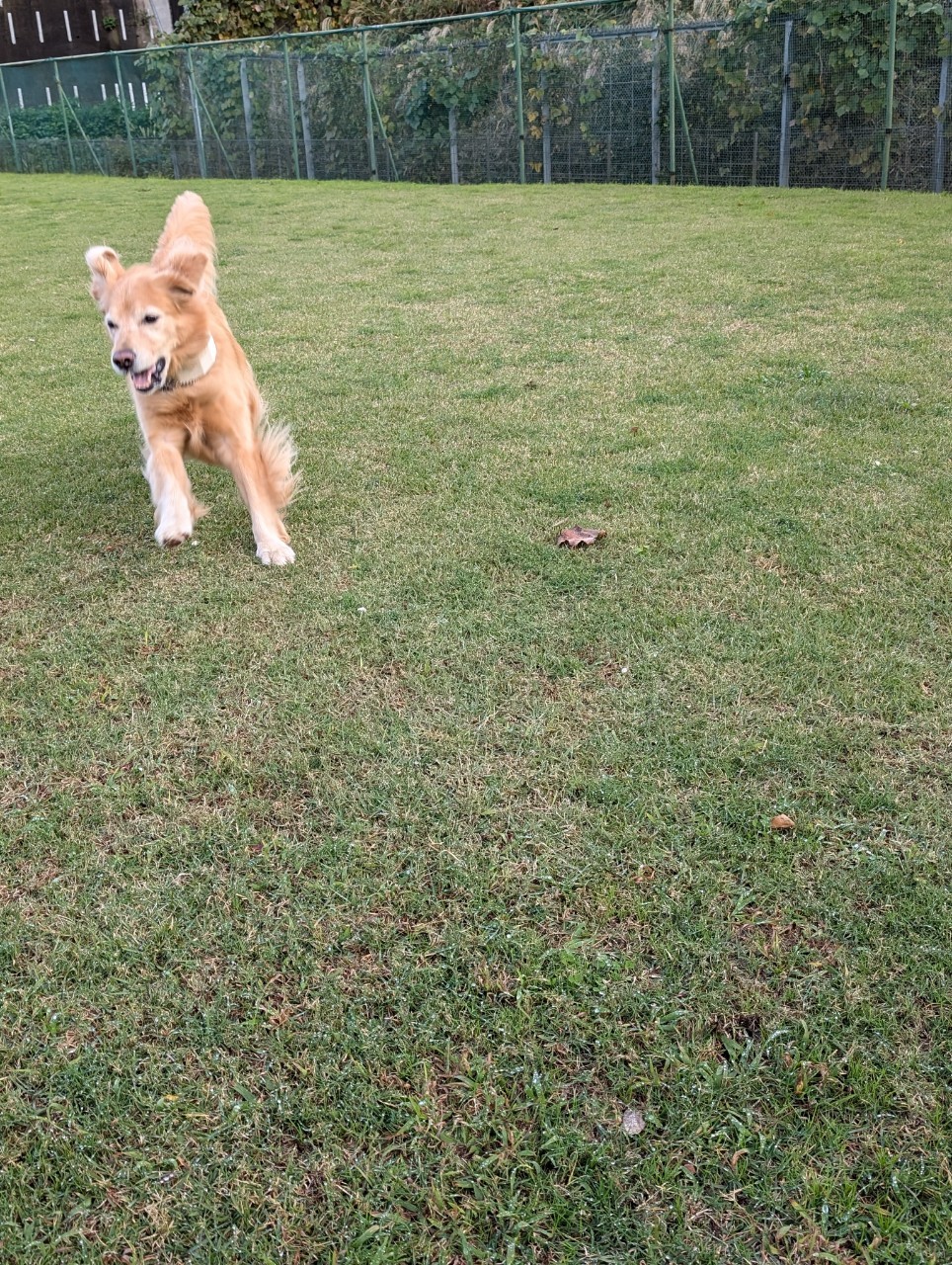 ファイル 8859-5.jpeg