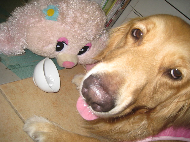 ファイル 886-4.jpg