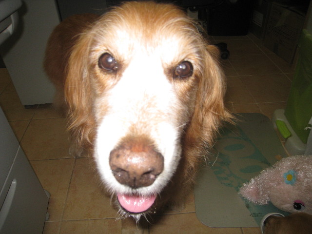 ファイル 886-5.jpg