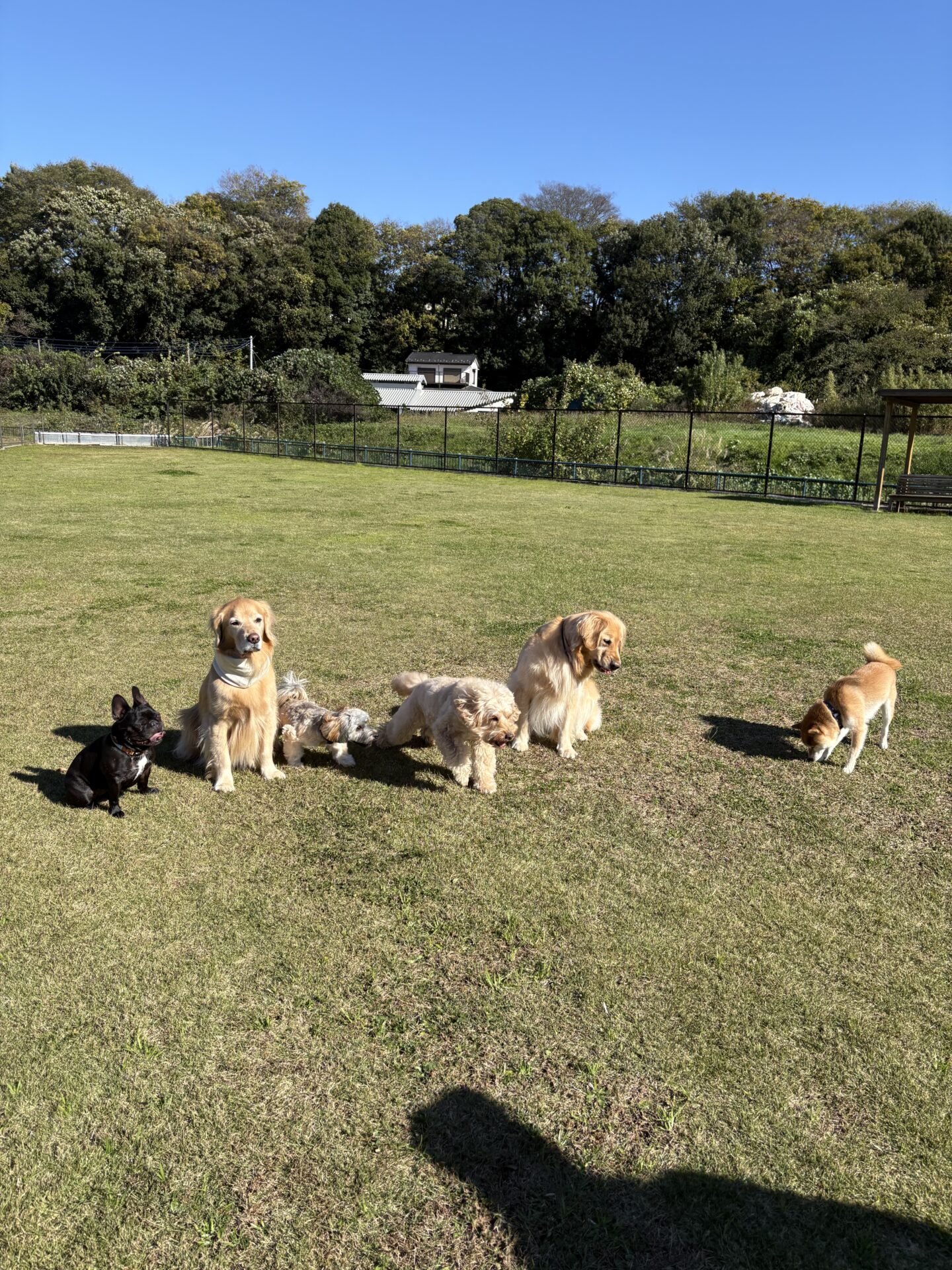 ファイル 8861-1.jpeg