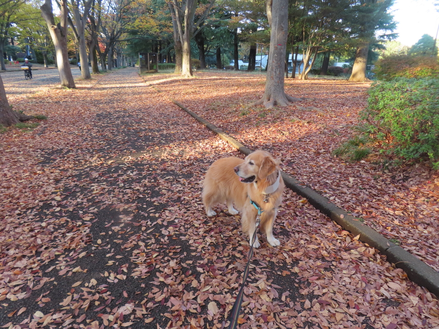 ファイル 8863-2.jpg