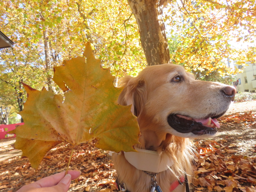 ファイル 8863-4.jpg