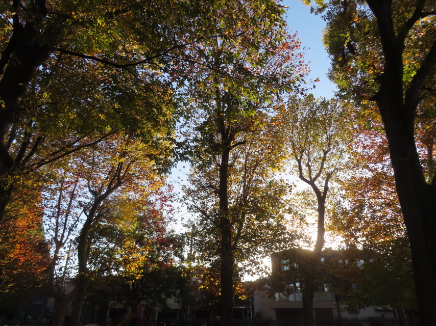 ファイル 8863-5.jpg