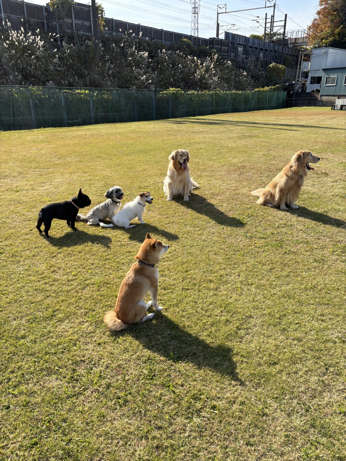 ファイル 8865-1.jpeg