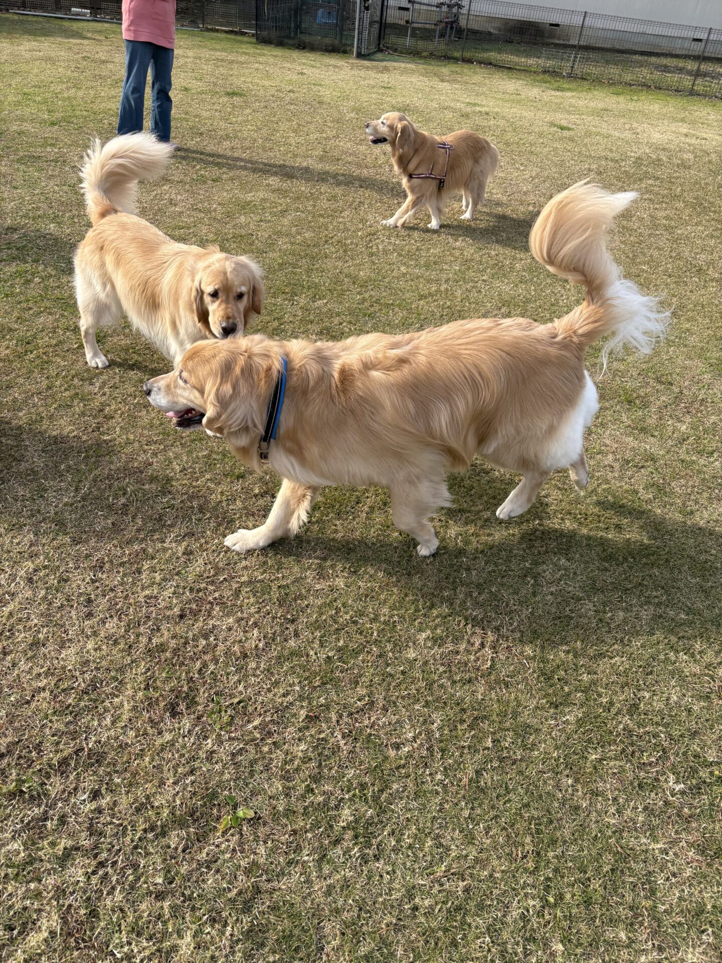 ファイル 8865-3.jpeg