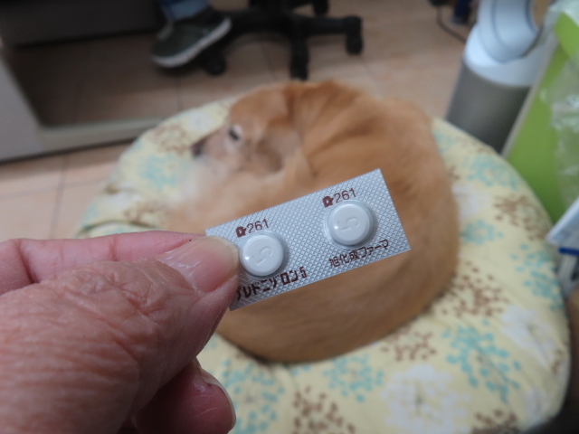 ファイル 8866-2.jpg