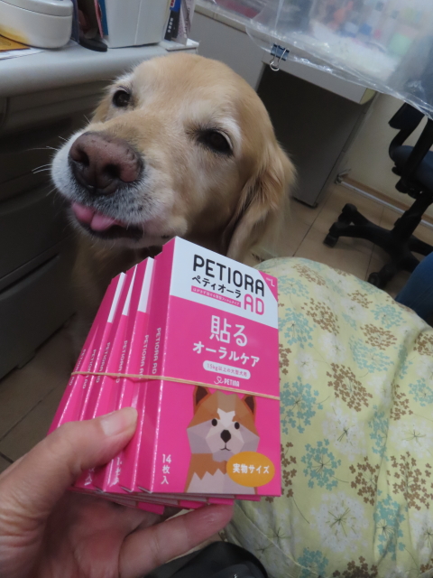 ファイル 8866-4.jpg